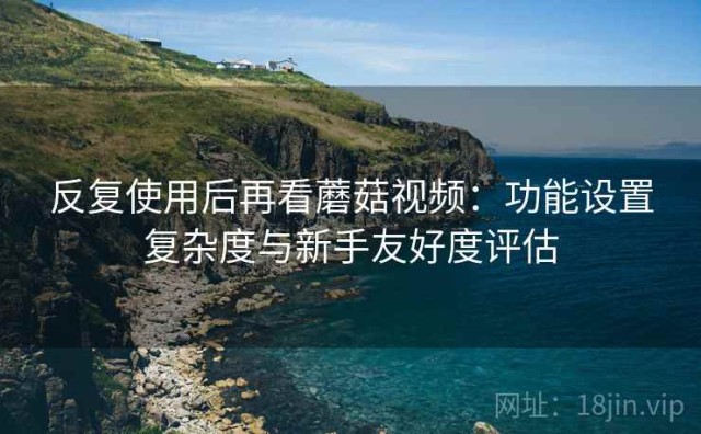 反复使用后再看蘑菇视频：功能设置复杂度与新手友好度评估