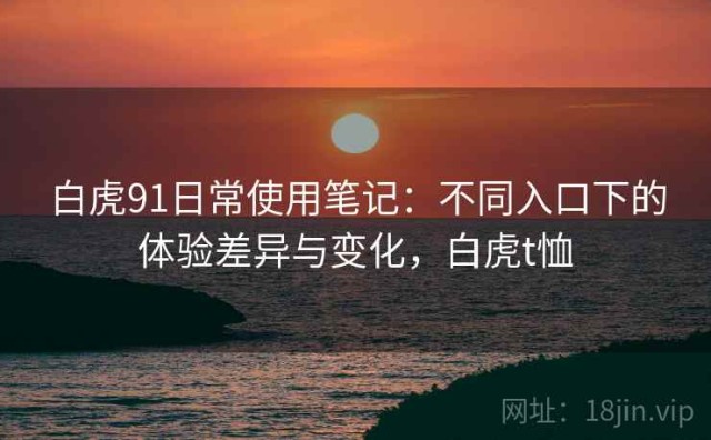 白虎91日常使用笔记：不同入口下的体验差异与变化，白虎t恤