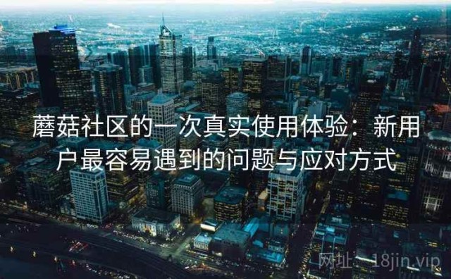 蘑菇社区的一次真实使用体验：新用户最容易遇到的问题与应对方式