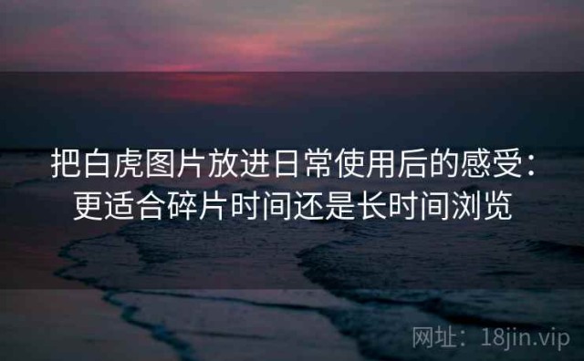 把白虎图片放进日常使用后的感受：更适合碎片时间还是长时间浏览