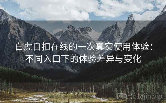 白虎自扣在线的一次真实使用体验：不同入口下的体验差异与变化