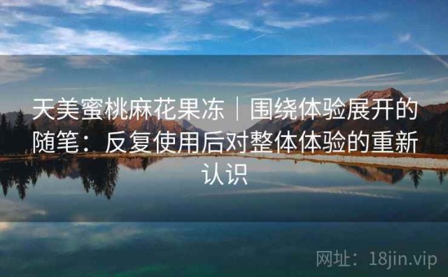 天美蜜桃麻花果冻｜围绕体验展开的随笔：反复使用后对整体体验的重新认识