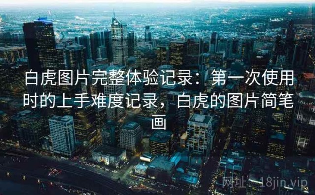 白虎图片完整体验记录：第一次使用时的上手难度记录，白虎的图片简笔画