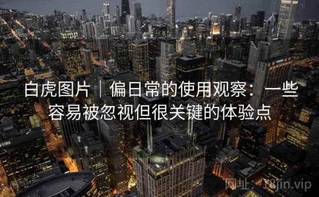 白虎图片｜偏日常的使用观察：一些容易被忽视但很关键的体验点