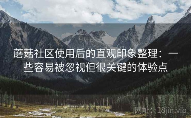 蘑菇社区使用后的直观印象整理：一些容易被忽视但很关键的体验点