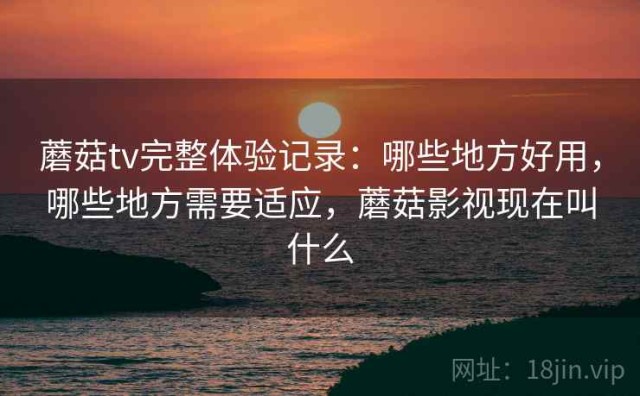 蘑菇tv完整体验记录：哪些地方好用，哪些地方需要适应，蘑菇影视现在叫什么