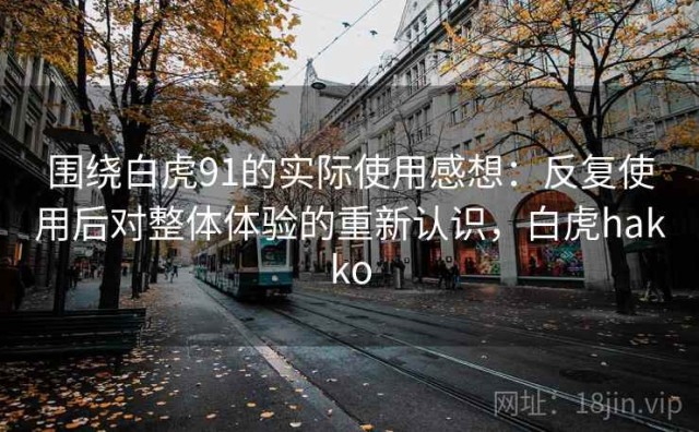 围绕白虎91的实际使用感想：反复使用后对整体体验的重新认识，白虎hakko