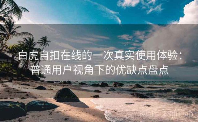 白虎自扣在线的一次真实使用体验：普通用户视角下的优缺点盘点