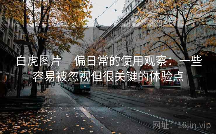 白虎图片｜偏日常的使用观察：一些容易被忽视但很关键的体验点