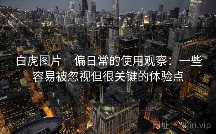 白虎图片｜偏日常的使用观察：一些容易被忽视但很关键的体验点