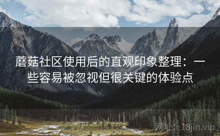 蘑菇社区使用后的直观印象整理：一些容易被忽视但很关键的体验点