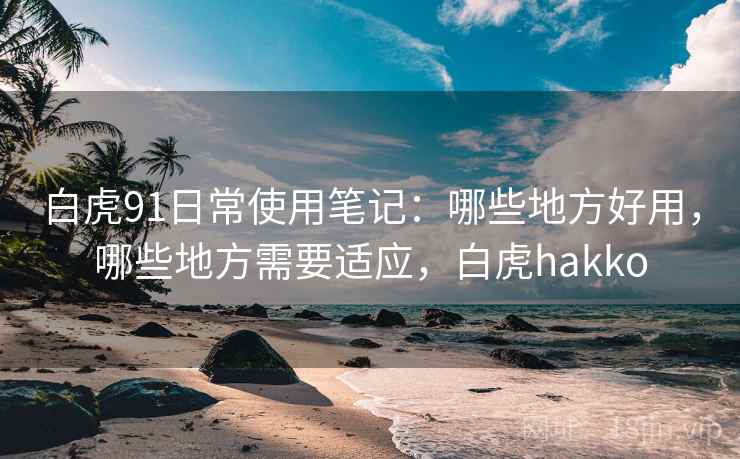 白虎91日常使用笔记：哪些地方好用，哪些地方需要适应，白虎hakko
