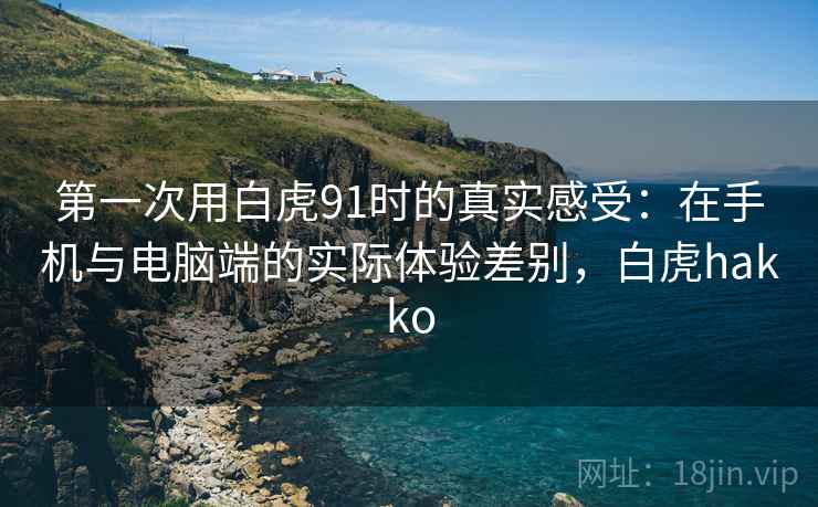 第一次用白虎91时的真实感受：在手机与电脑端的实际体验差别，白虎hakko