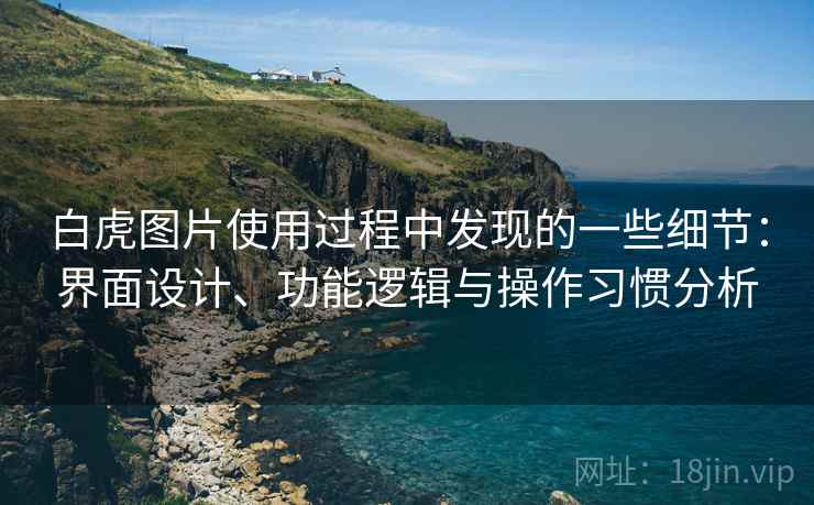 白虎图片使用过程中发现的一些细节：界面设计、功能逻辑与操作习惯分析