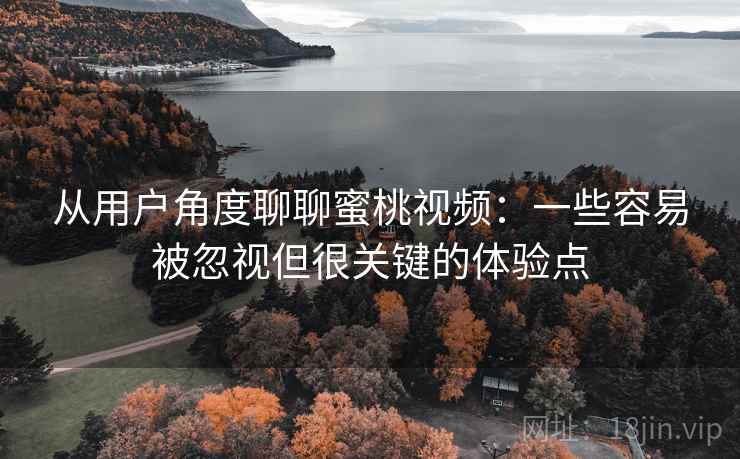 从用户角度聊聊蜜桃视频：一些容易被忽视但很关键的体验点