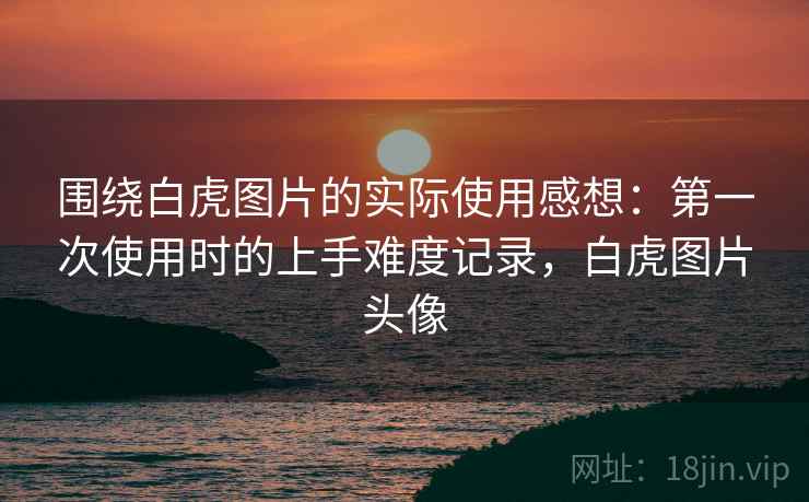 围绕白虎图片的实际使用感想：第一次使用时的上手难度记录，白虎图片头像