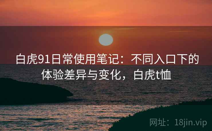 白虎91日常使用笔记：不同入口下的体验差异与变化，白虎t恤