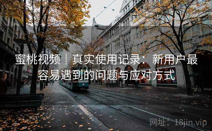 蜜桃视频｜真实使用记录：新用户最容易遇到的问题与应对方式