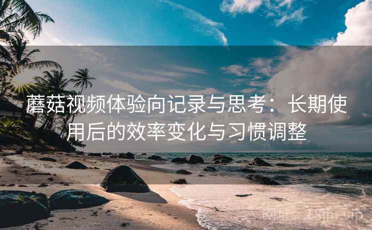 蘑菇视频体验向记录与思考：长期使用后的效率变化与习惯调整