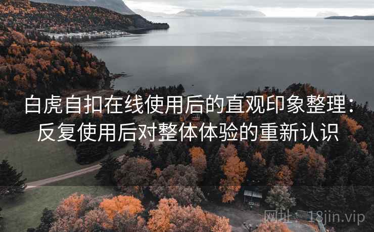 白虎自扣在线使用后的直观印象整理：反复使用后对整体体验的重新认识