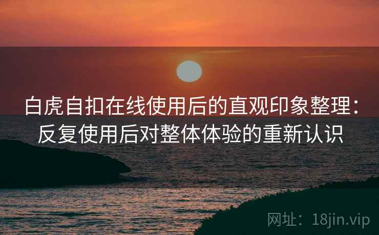 白虎自扣在线使用后的直观印象整理：反复使用后对整体体验的重新认识