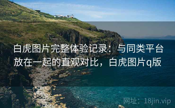 白虎图片完整体验记录：与同类平台放在一起的直观对比，白虎图片q版