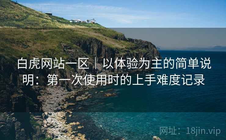 白虎网站一区｜以体验为主的简单说明：第一次使用时的上手难度记录