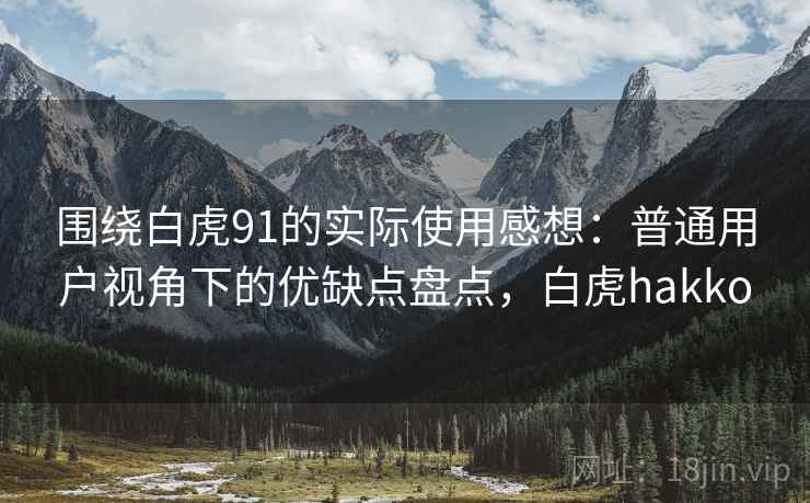 围绕白虎91的实际使用感想：普通用户视角下的优缺点盘点，白虎hakko
