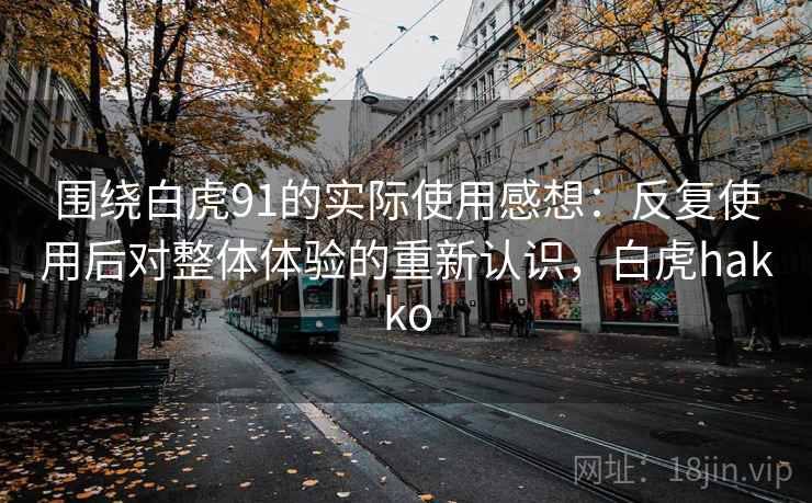 围绕白虎91的实际使用感想:反复使用后对整体体验的重新认识,白虎hakko 围绕白虎91的实际使用感想:反复使用后对整体体验的重新认识,白虎hakko