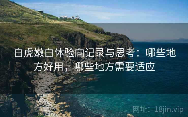 白虎嫩白体验向记录与思考:哪些地方好用,哪些地方需要适应 白虎嫩白体验向记录与思考:哪些地方好用,哪些地方需要适应