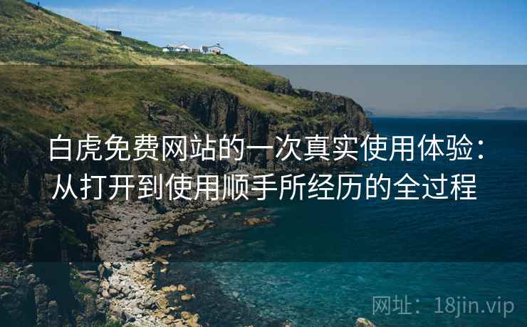 白虎免费网站的一次真实使用体验：从打开到使用顺手所经历的全过程