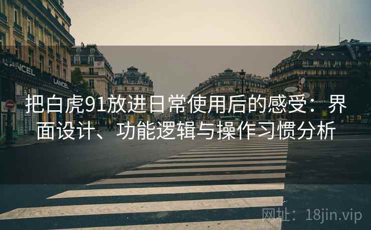 把白虎91放进日常使用后的感受：界面设计、功能逻辑与操作习惯分析