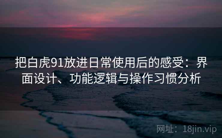 把白虎91放进日常使用后的感受：界面设计、功能逻辑与操作习惯分析