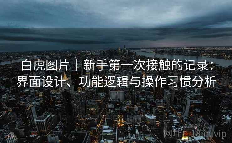 白虎图片｜新手第一次接触的记录：界面设计、功能逻辑与操作习惯分析